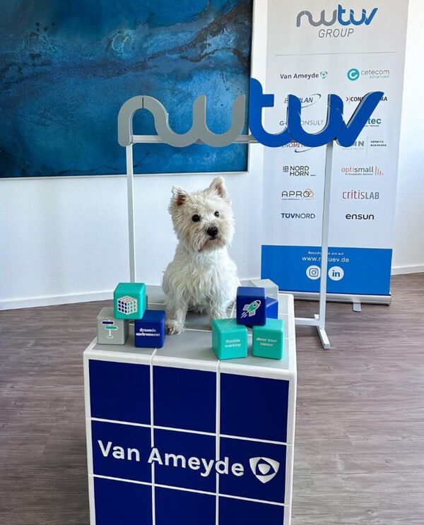 Van Ameyde startet „Great Place to Work®"- Initiative